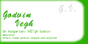 godvin vegh business card